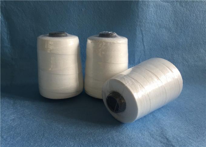 La fermeture 100% tournée de haute résistance superbe de sac du polyester 20S/9 (209) filète