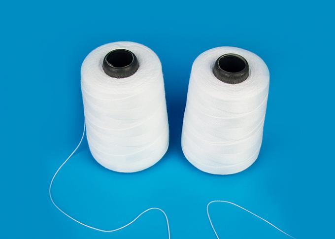 Fil 100% de haute résistance de fermeture de sac de fils de polyesters de haute qualité 10s/4